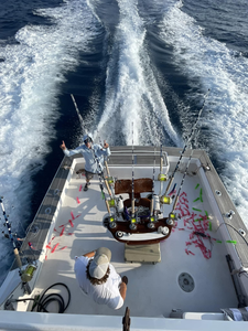 Bait your line, the ocean’s calling!